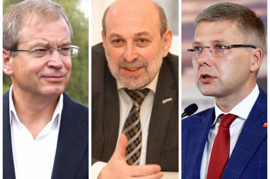 Лидерами «Согласия» на выборах в ЕП будут Ушаков, Америкс и Цилевич