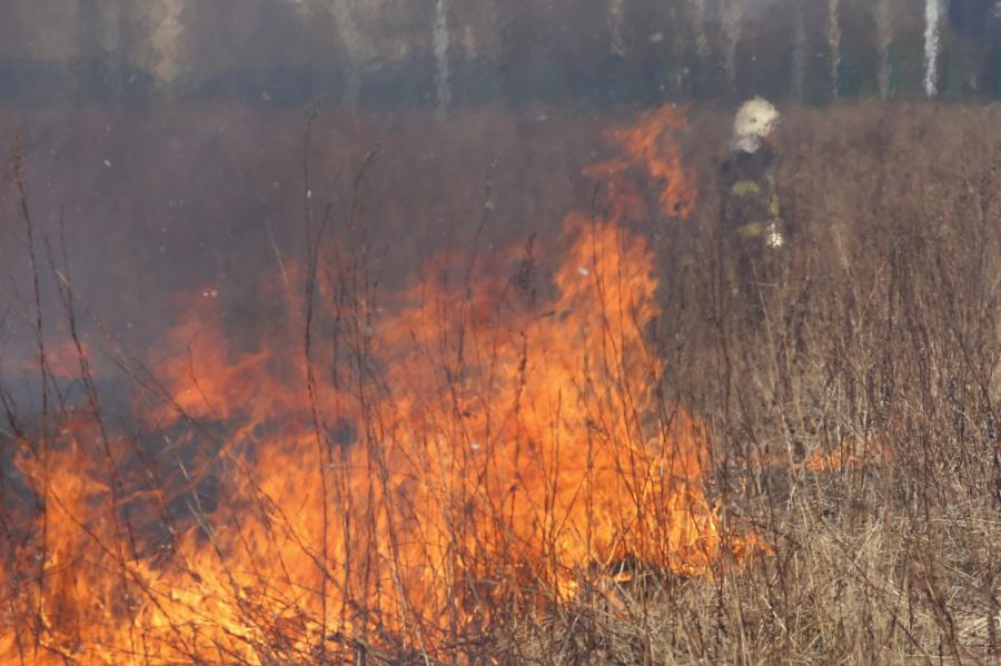 В Латвии горят хозпостройки и дачные домки из-за сжигания сухой травы