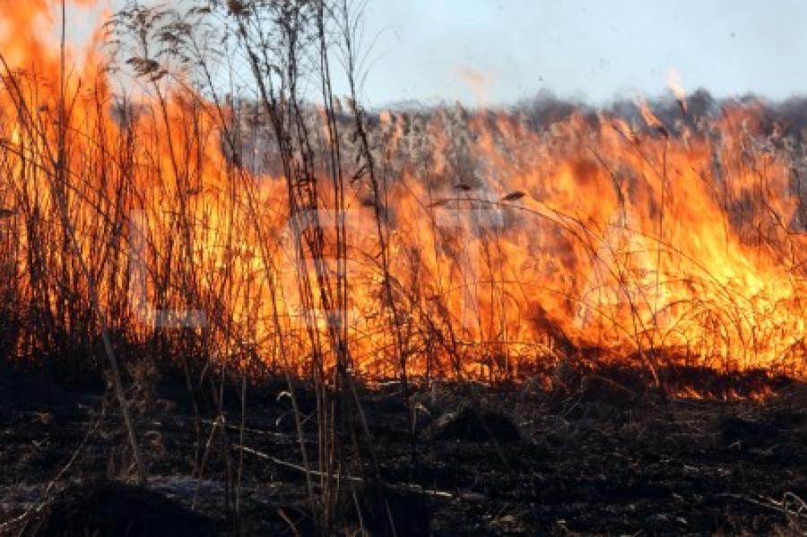В субботу в пожарах прошлогодней травы выгорело более 85 га