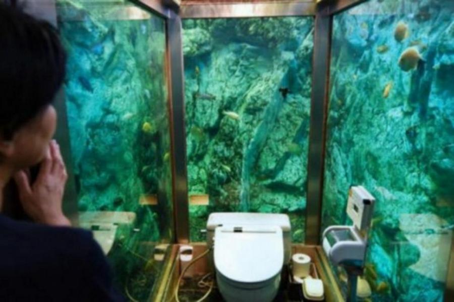 Самый необычный туалет нашли в Японии
