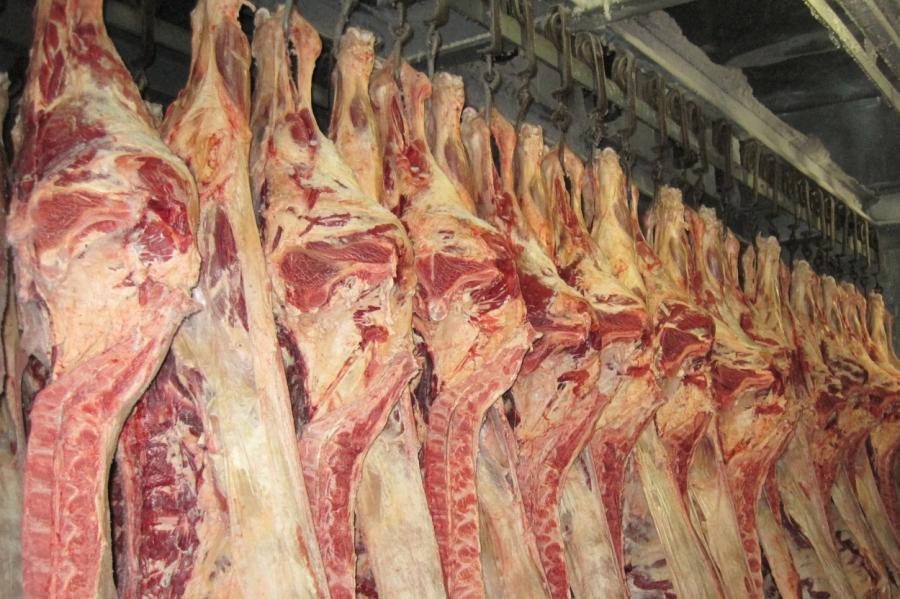 Курс на импортозамещение: россиянам могут запретить ввоз мяса и молока