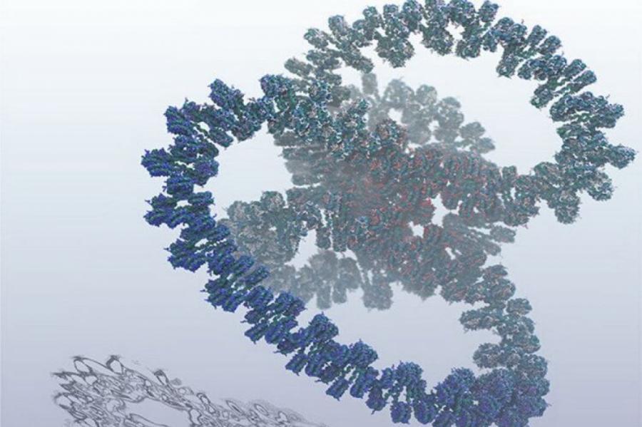 Ученые создали самую полную компьютерную модель гена ДНК