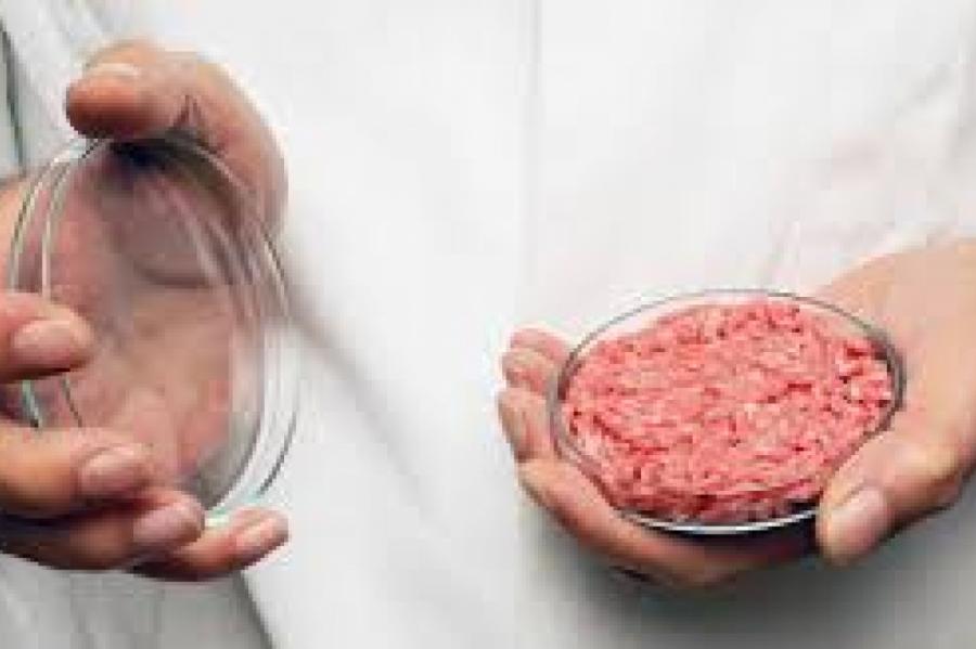 Приведет ли искусственное мясо к экономической и медицинской катастрофе?