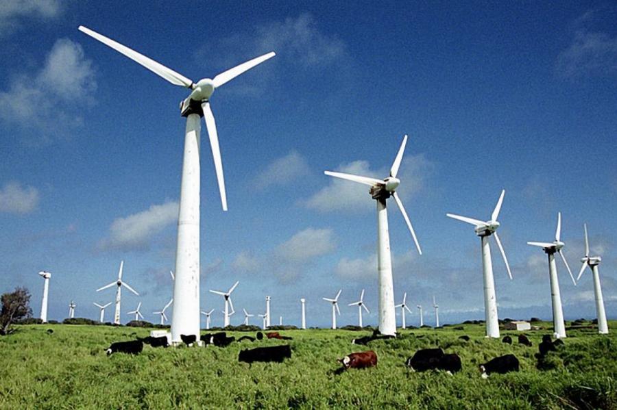Latvenergo планирует получать электричество из ветра