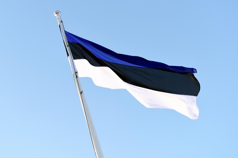 В Эстонии выборы в ЕП выиграла Партия реформ