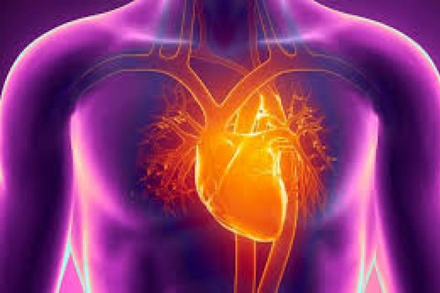 Американцы научились распознавать людей по биению сердца