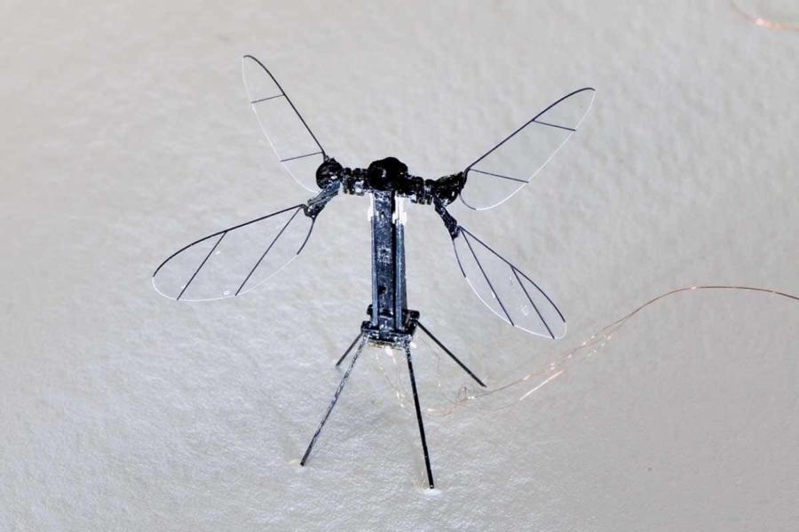 Въехали в антиутопию: созданы дроны, неотличимые от мух и комаров