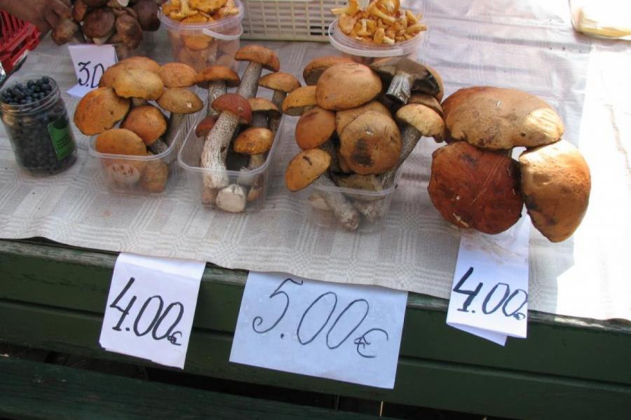 Скандал. Эстонцы «выращивают» свои клубнику и картошку на рижском «ночном рынке»