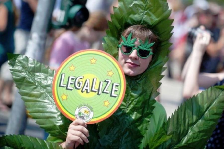 Латвия легализация марихуаны открытие марихуаны