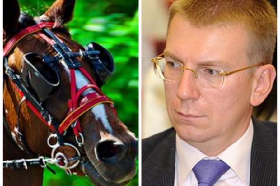 Посольство РФ высмеяло «разрушителя мостов» Ринкевича, сравнив его с лошадью