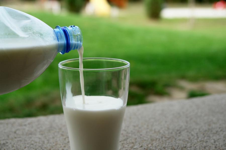 Находка для мам: чем полезно козье молоко для детей и как правильно его пить