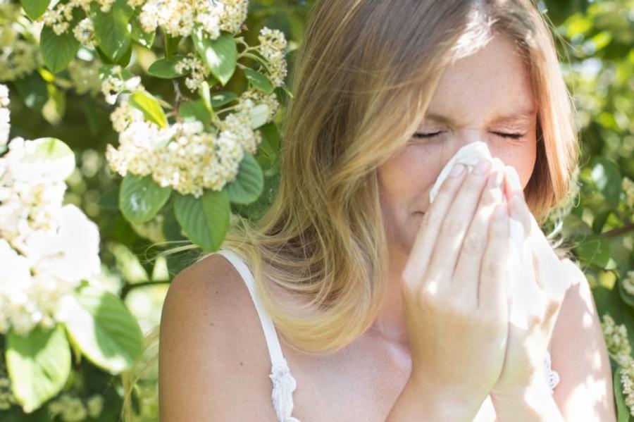 8 домашних растений, вызывающих аллергию — даже если у вас ее никогда не было