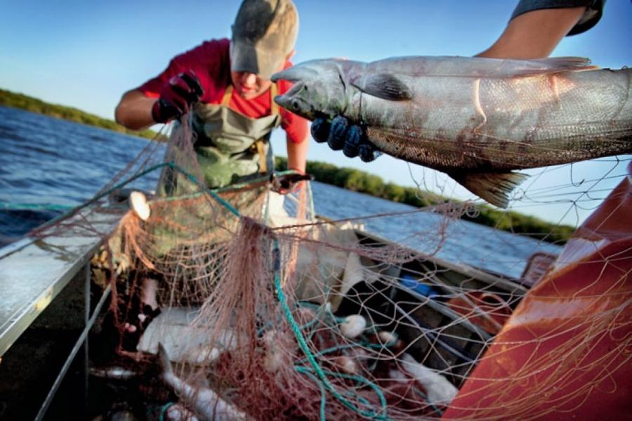 Особенности национальной рыбалки: какие штрафы грозят латвийским рыбакам