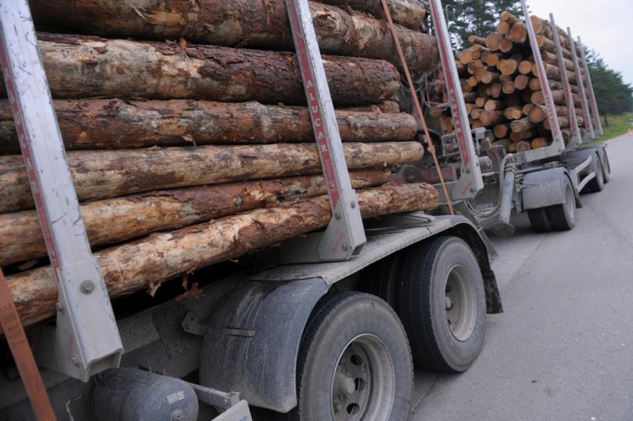 Импорт продукции лесной отрасли Латвии вырос на 3,5%