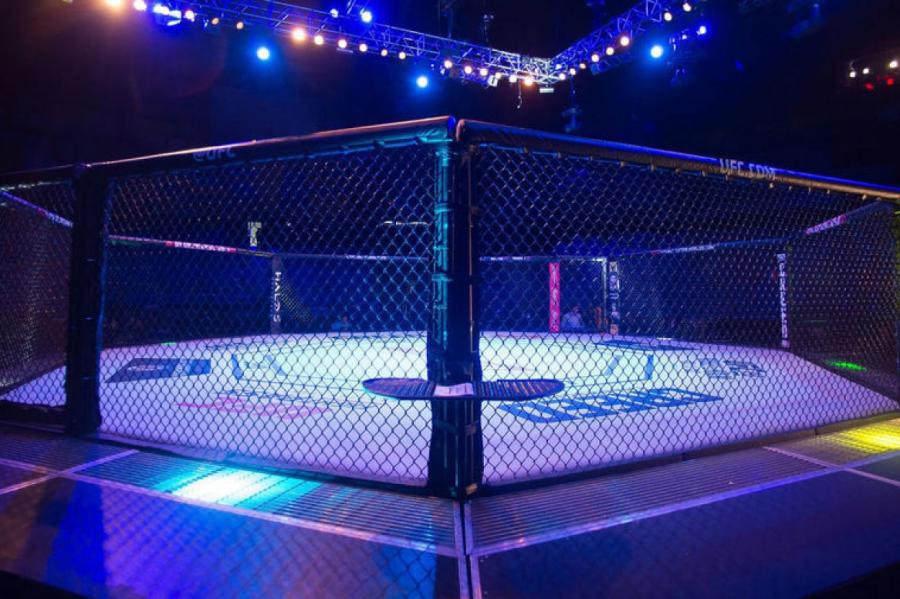 В UFC оценили вероятность проведения детских боев