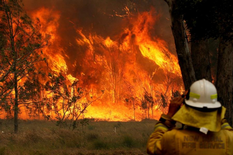 В Австралии природные пожары охватили миллион гектаров.