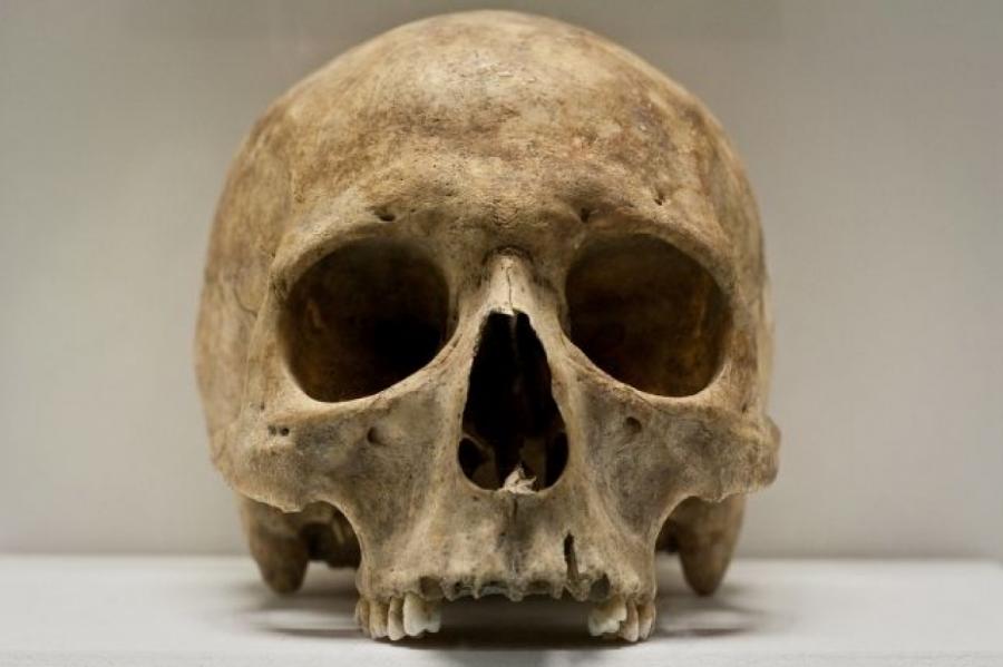 Во время землеройных работ в Даугавпилсе найдены человеческие останки