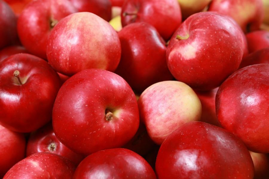 В США презентовали сорт яблок, которые не портятся в течение года