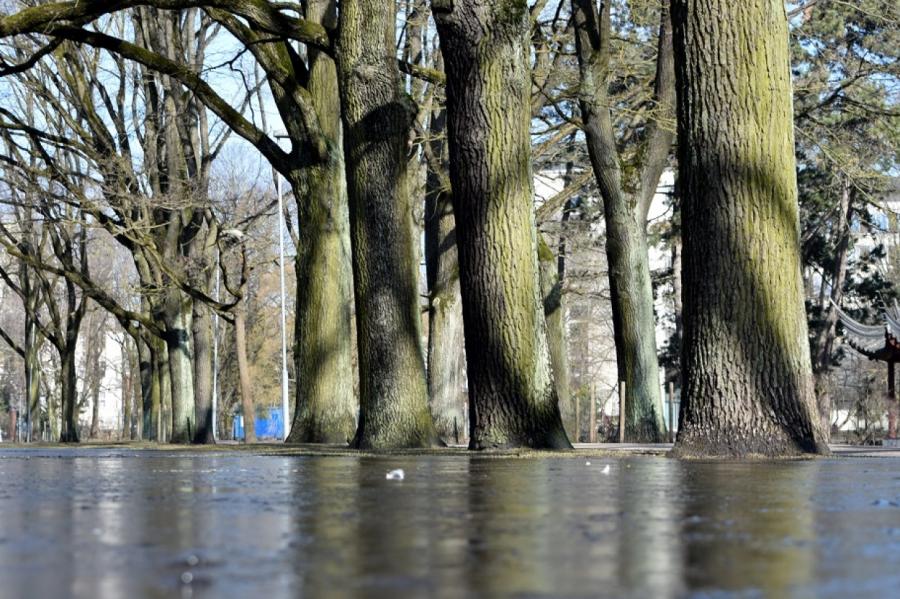 Наводнение? В реках Латвии стремительно повышается уровень воды