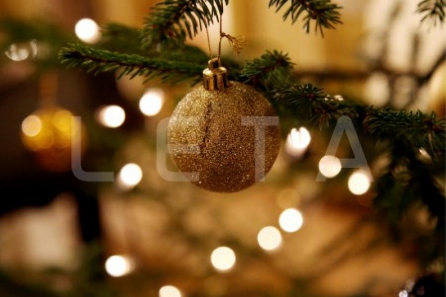 Общество "Латвияс валстс межи" призывает рубить елки к Рождеству в разрешенных местах