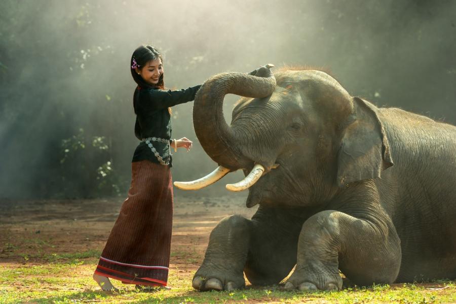 Как сделать из слона муху: 4 способа очистить разум и снять тревогу