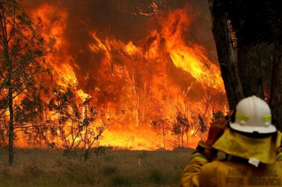 Австралии потребуется минимум 100 лет на восстановление после пожаров