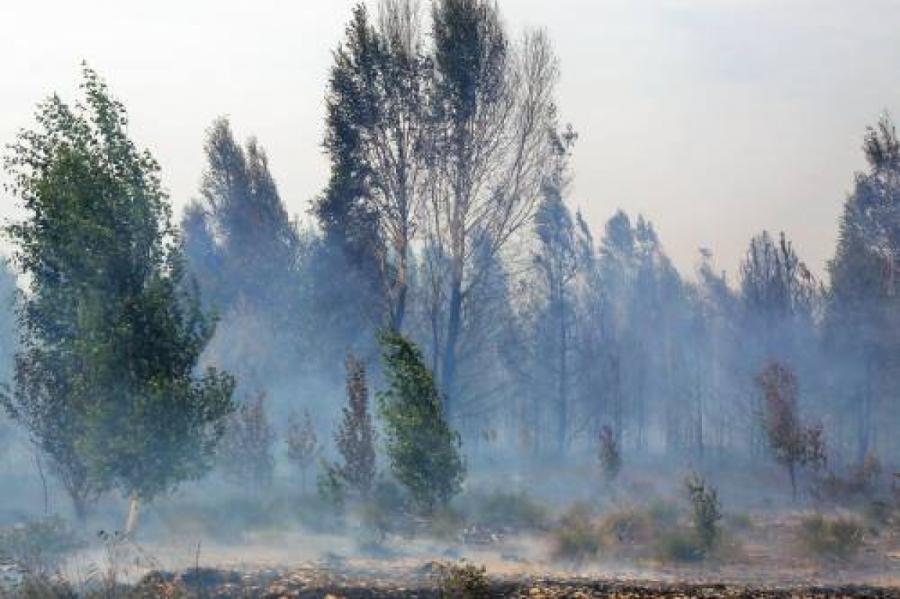 Зарегистрированы первые в этом году лесные пожары