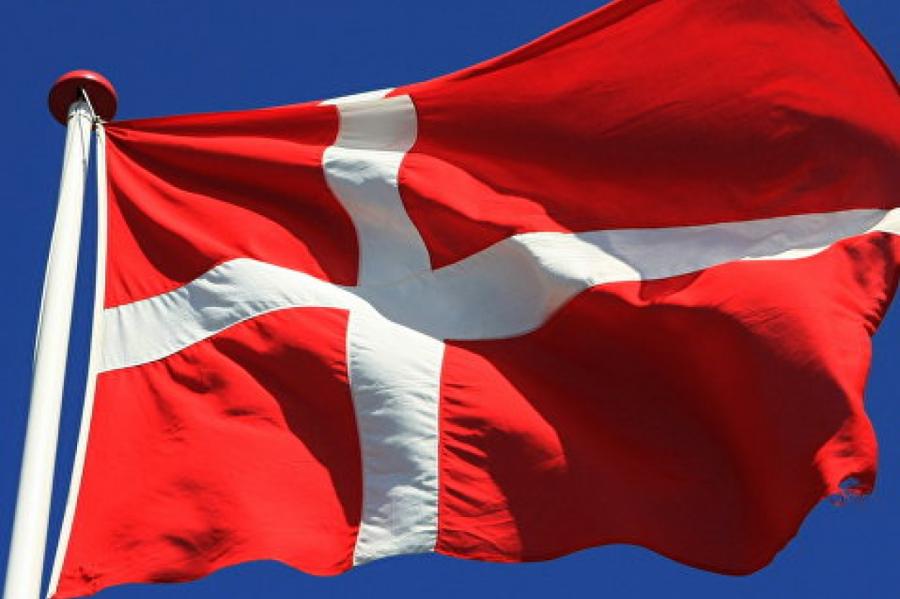"Не отнимайте у детей мать!" Латвийцы устроили в Дании митинг