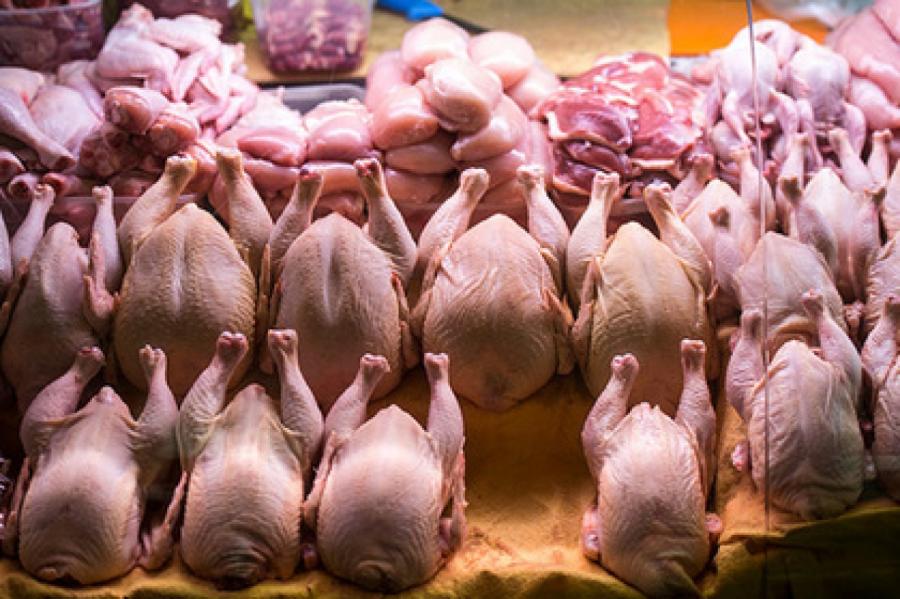 Питчий грипп - случайность: Евросоюз снял запрет на ввоз мяса птицы с Украины