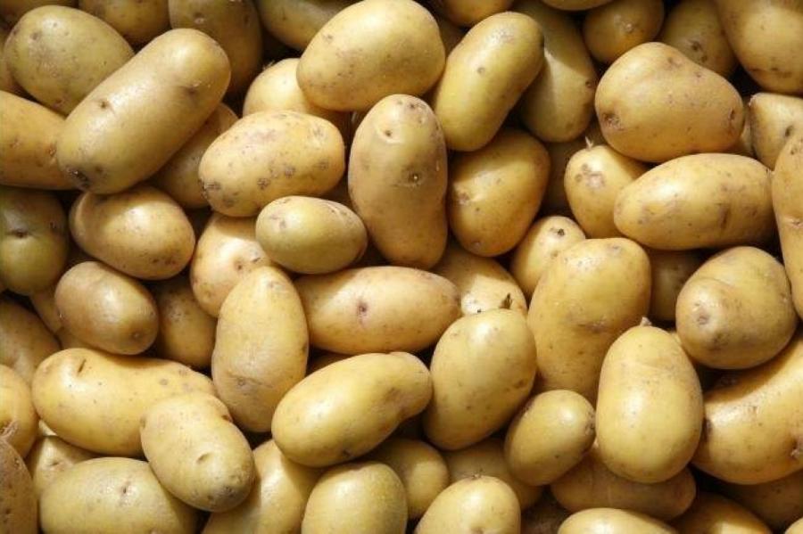 Ученые признали картофель полезным для здоровья