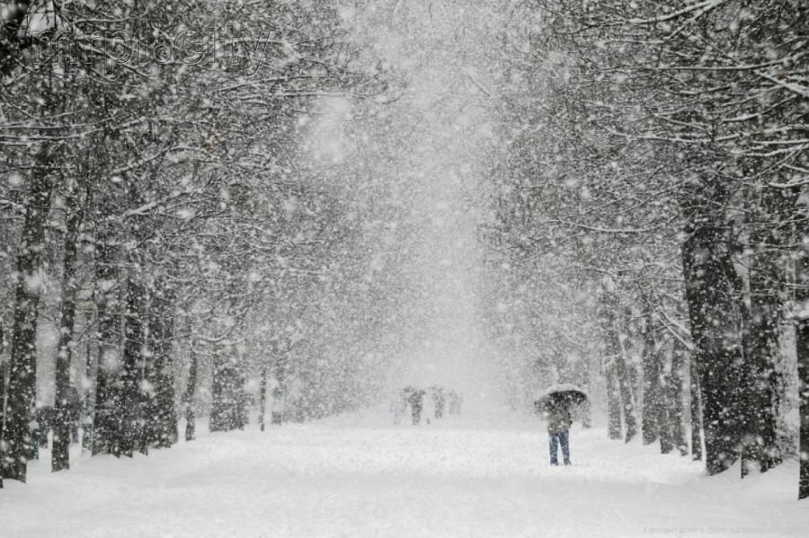 Синоптики предупреждают: в ближайшее время Латгале и Видземе засыплет снегом