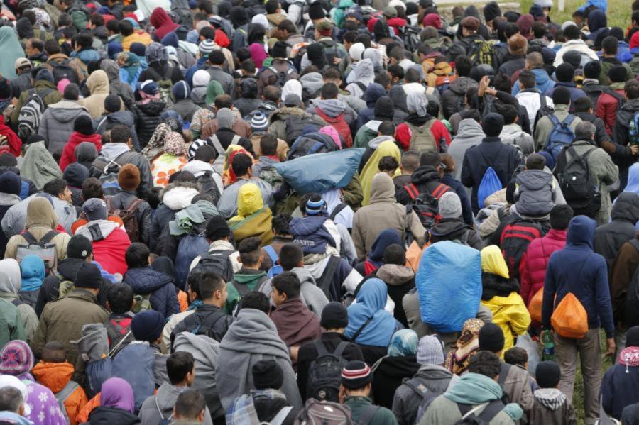 Венгрия ожидает в ближайшее время волну мигрантов в 100 тысяч человек