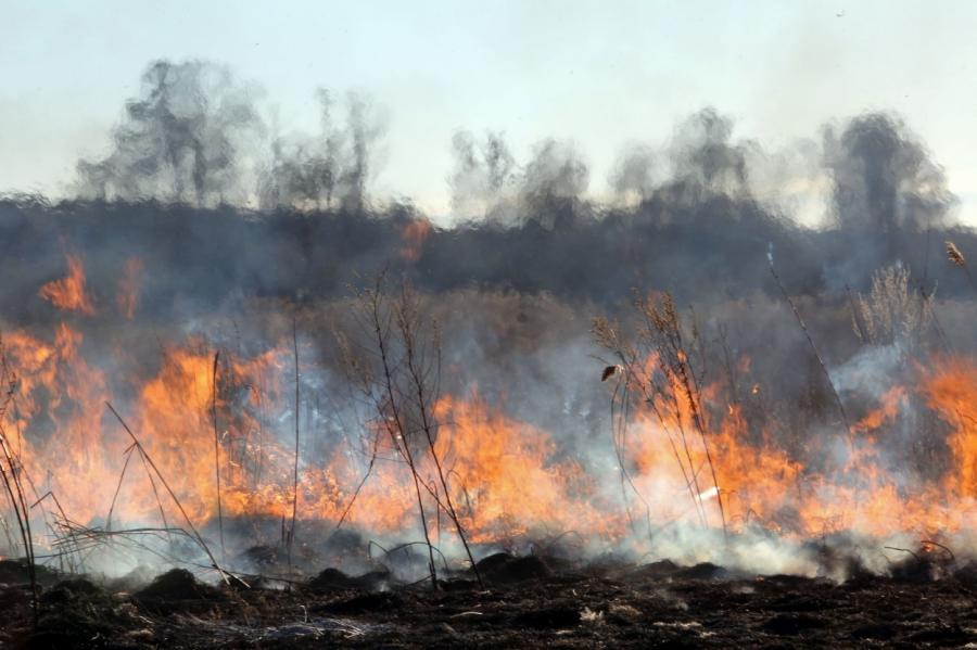 В ближайшее время трава в Латвии будет гореть чаще