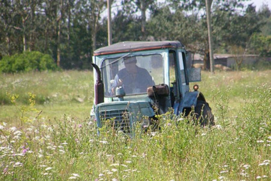 Латвийские фермеры успокаивают: голодным население не оставим