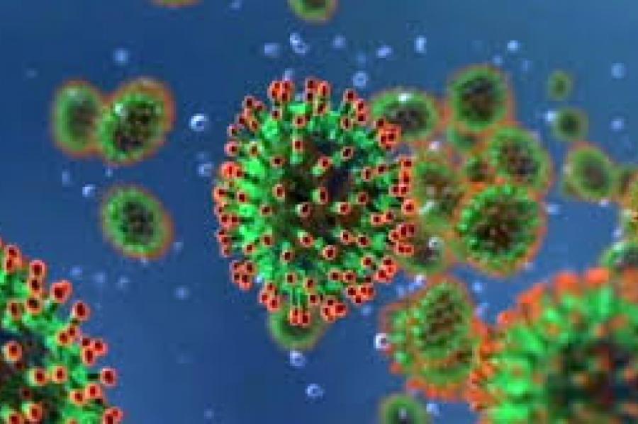 5 вещей, которых боится коронавирус