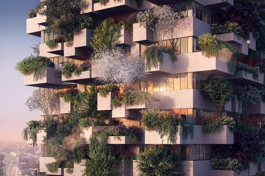 Городские джунгли: архитекторы используют растения на фасадах зданий