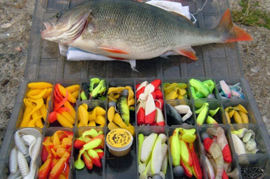 Здесь рыба есть: разные виды монтажа джиговых приманок