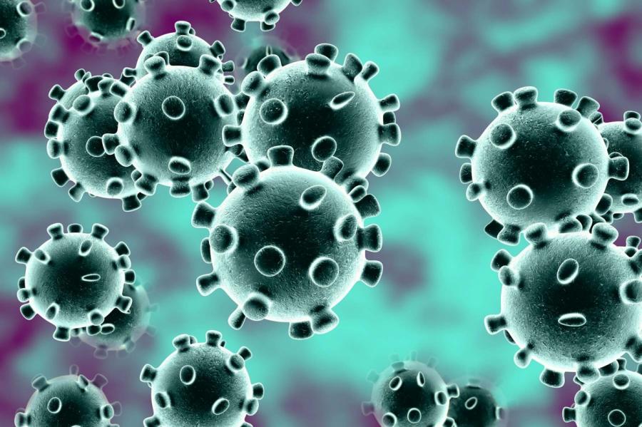 Испытан препарат, снижающий накопление коронавируса в 5000 раз