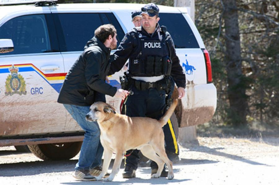 Более 10 человек погибли при стрельбе в Канаде