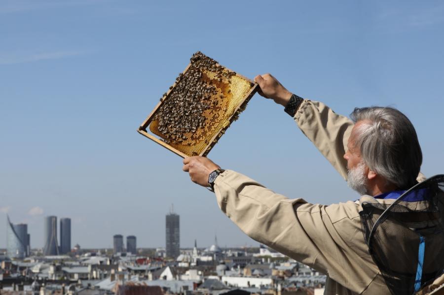 Неожиданно: на крыше театра «Дайлес» установили улья с пчелами (фото)