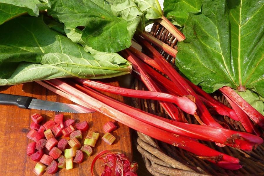 Дары латвийских огородов добрались до стола: семь блюд из ревеня