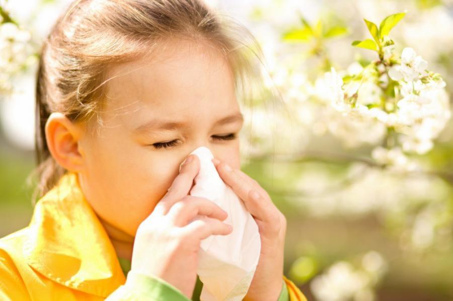 И вам не чихать! От аллергии страдает около 65% жителей стран Балтии