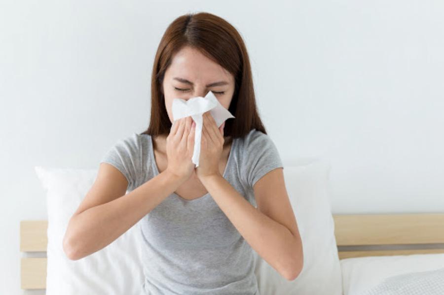 7 «домашних» аллергенов, о которых вы и подумать не могли