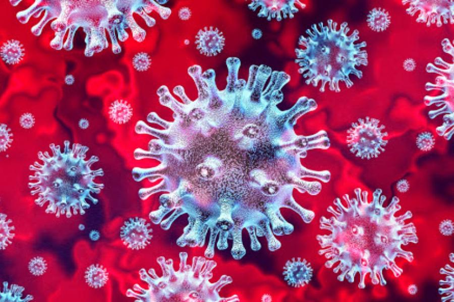 Для кого коронавирус особо опасен? Сводная таблица данных