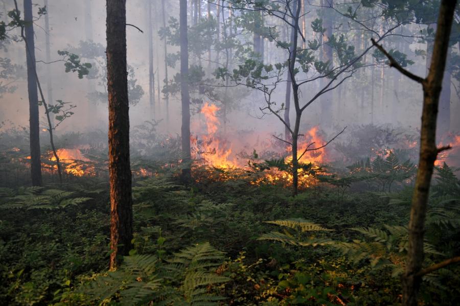 Предупреждают о высокой пожароопасности в центральных регионах Латвии