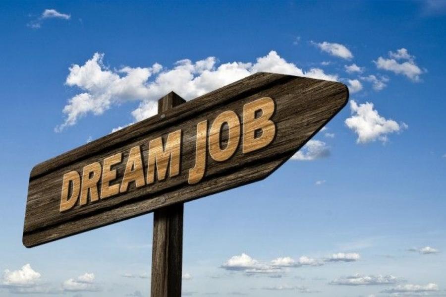 Мечта! В Швеции предлагают «пожизненную» вакансию без рабочих обязанностей