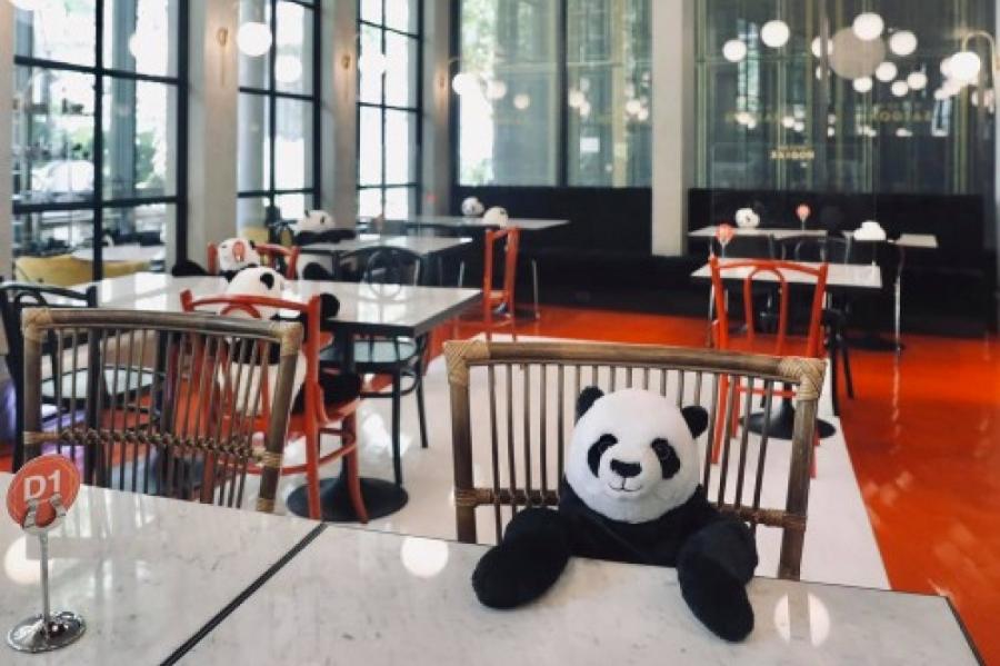 Игрушечные панды в тайском ресторане напомнят людям о социальной дистанции