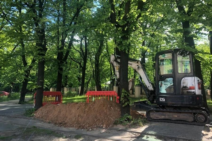 В центре Риги из-за инженерных работ погибают столетние деревья