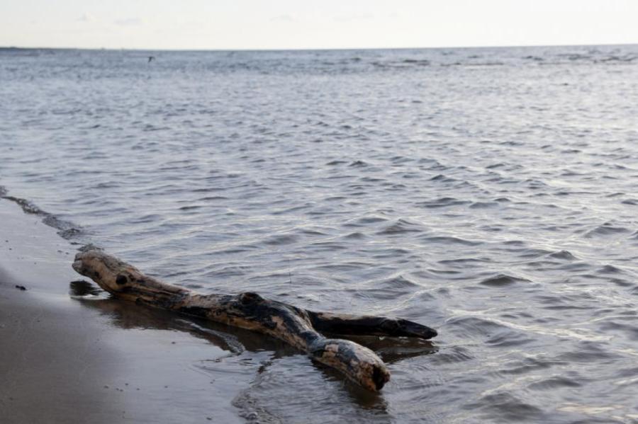 Танкер ION M заподозрили в сбросе груза пальмового масла у берегов Латвии