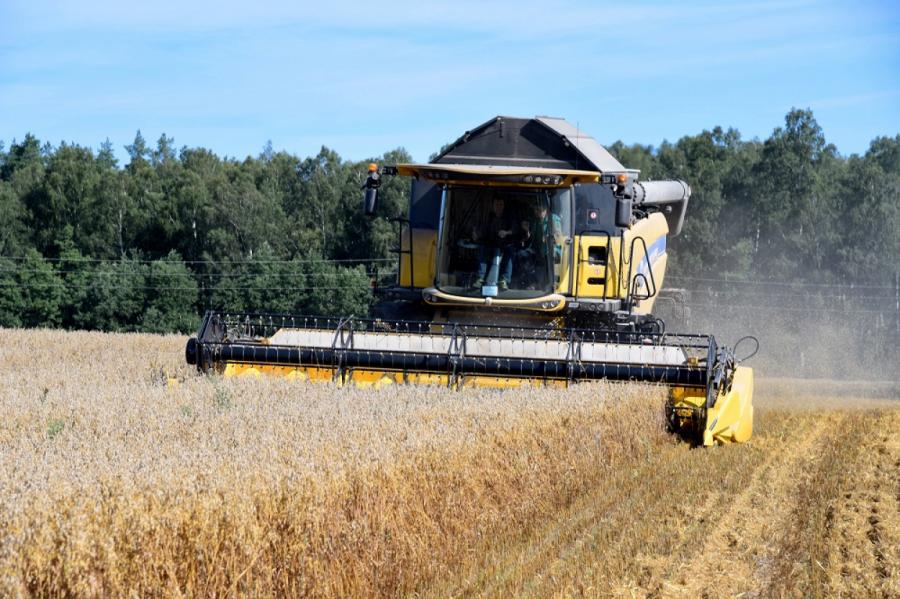В этом году в Латвии ждут рекордного урожая зерна